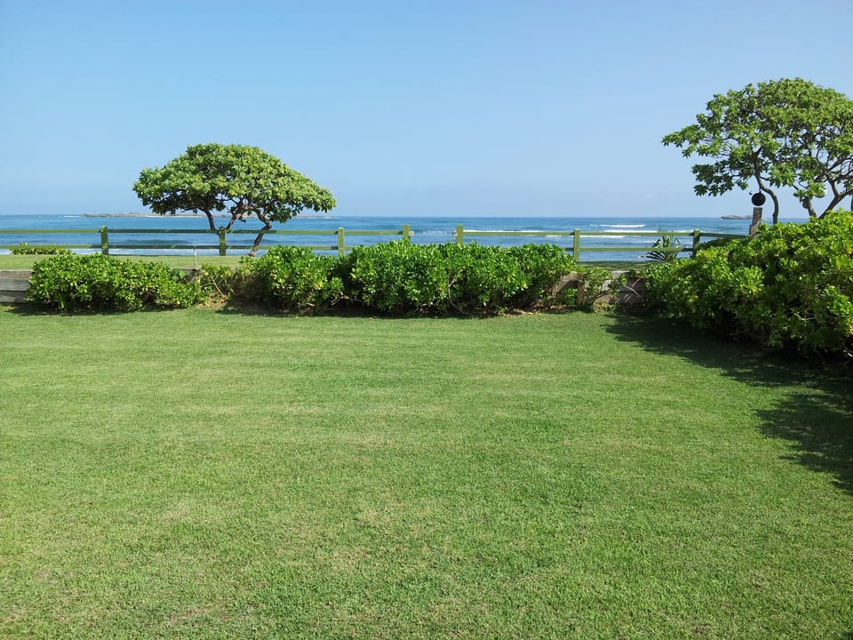 Our Front lawn and Hukilau Beach