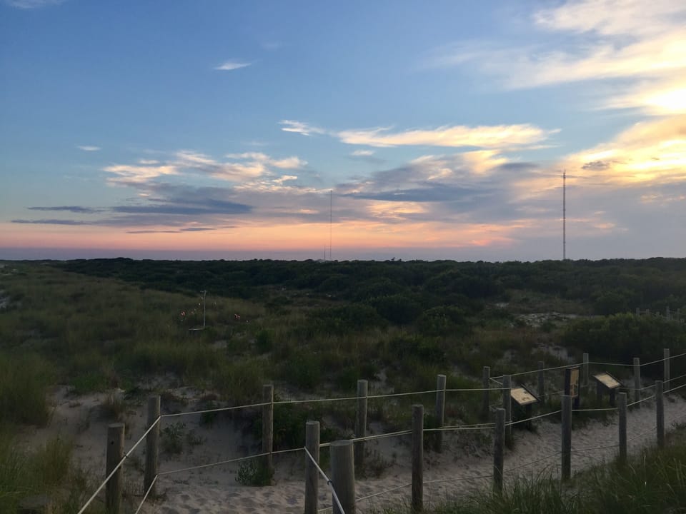 View from walking path through bird sanctuary 