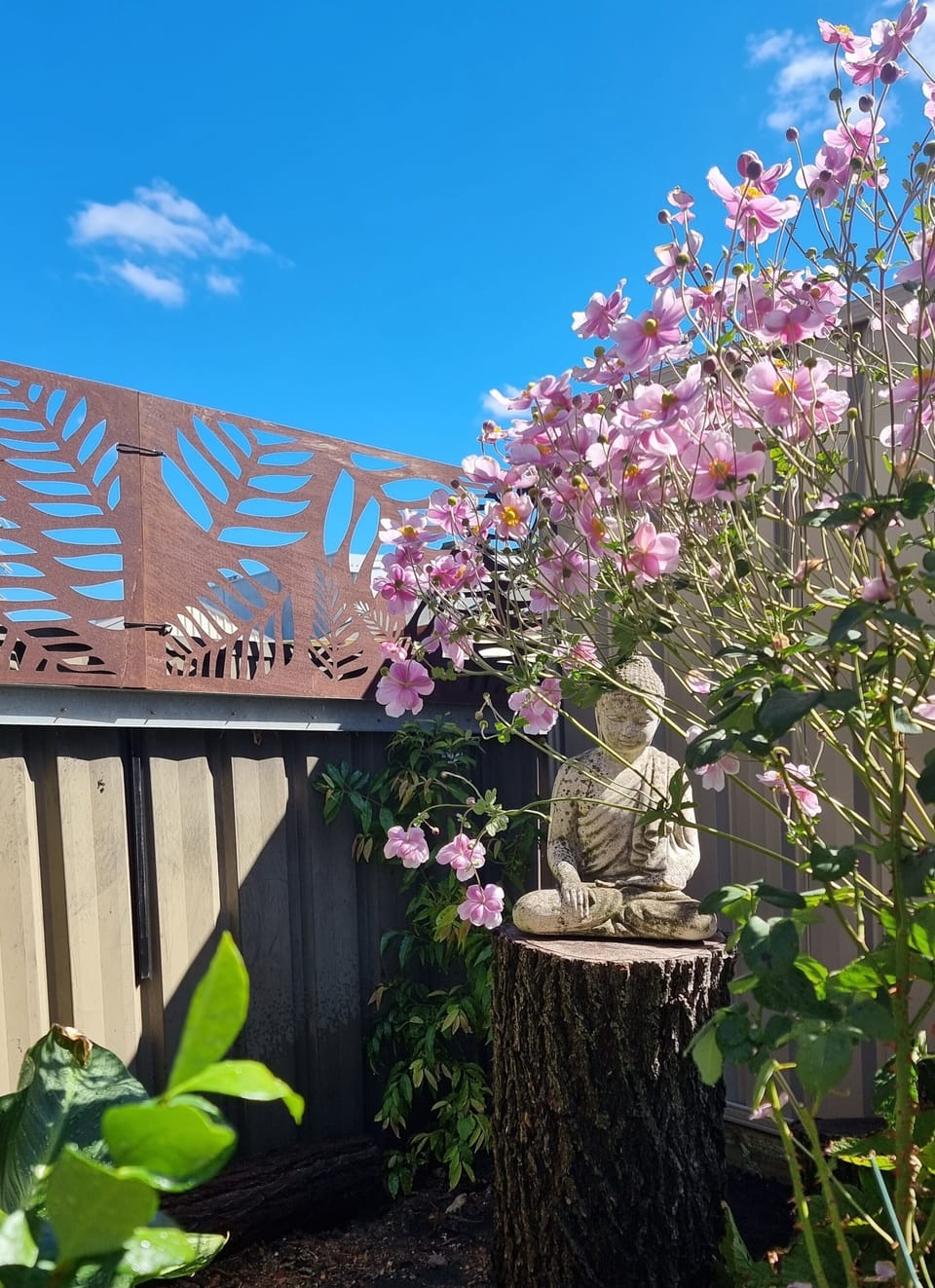 Serenity