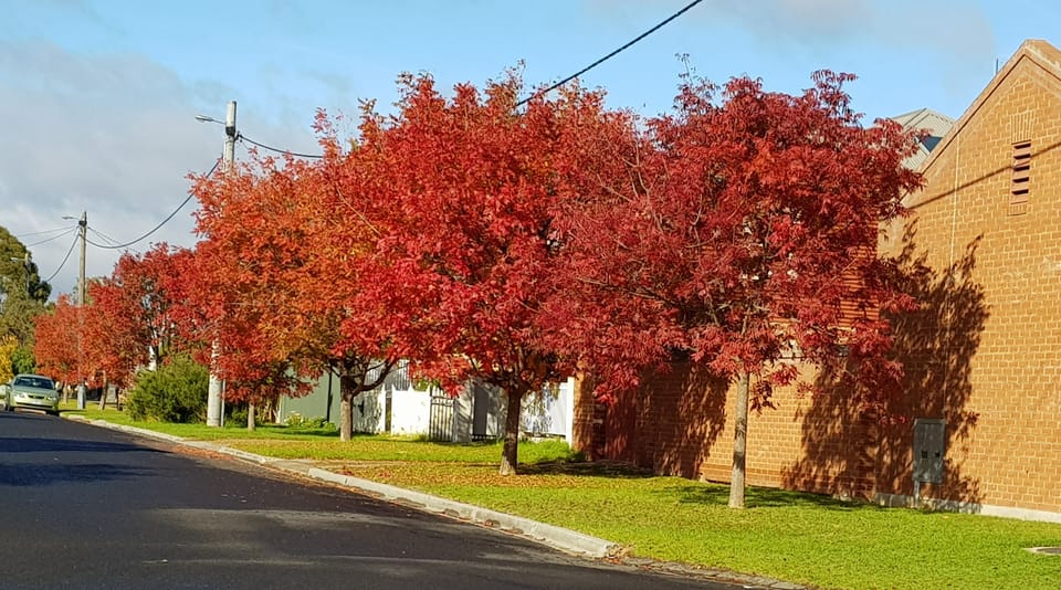 Front street