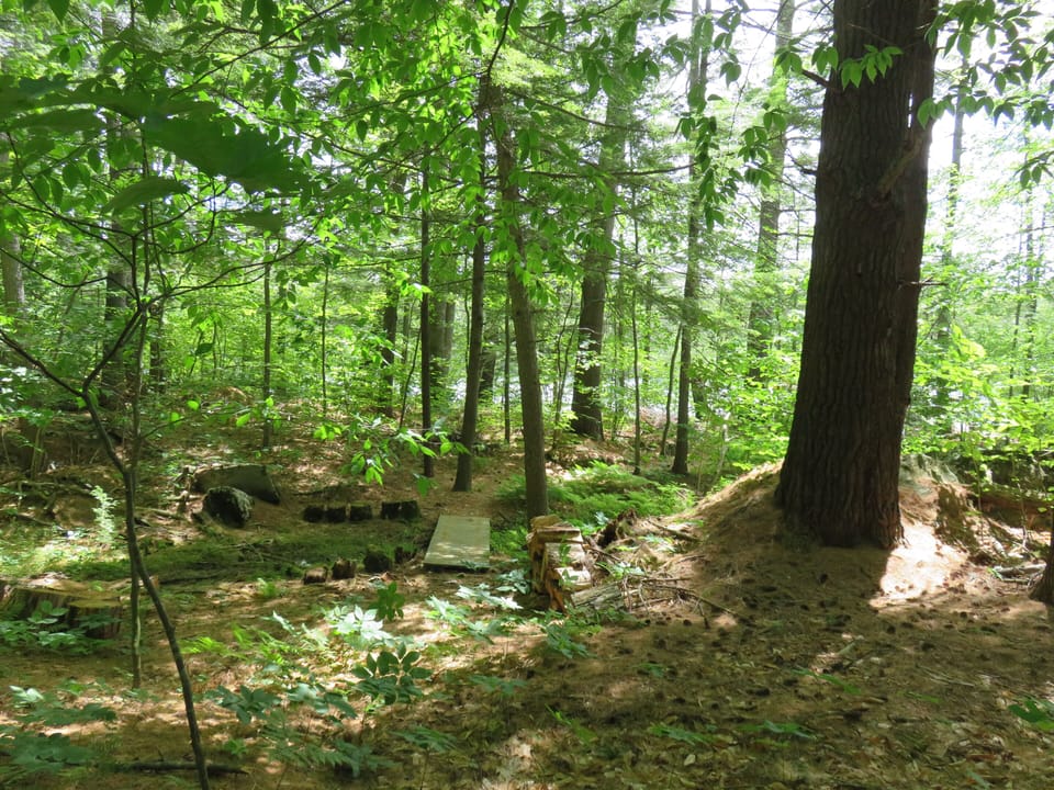 The path from the cabin to the Lake
