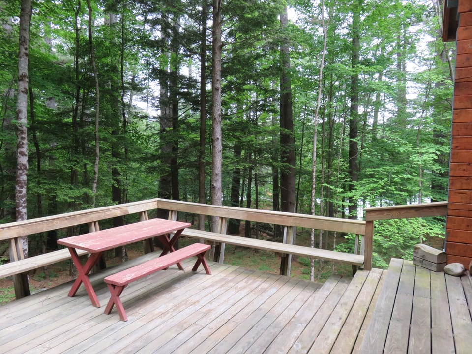 The deck with a view into the woods and, past the trees, the Lake