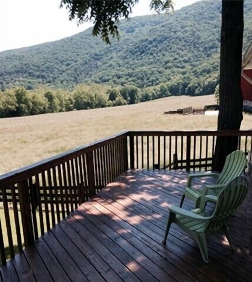 View from back deck