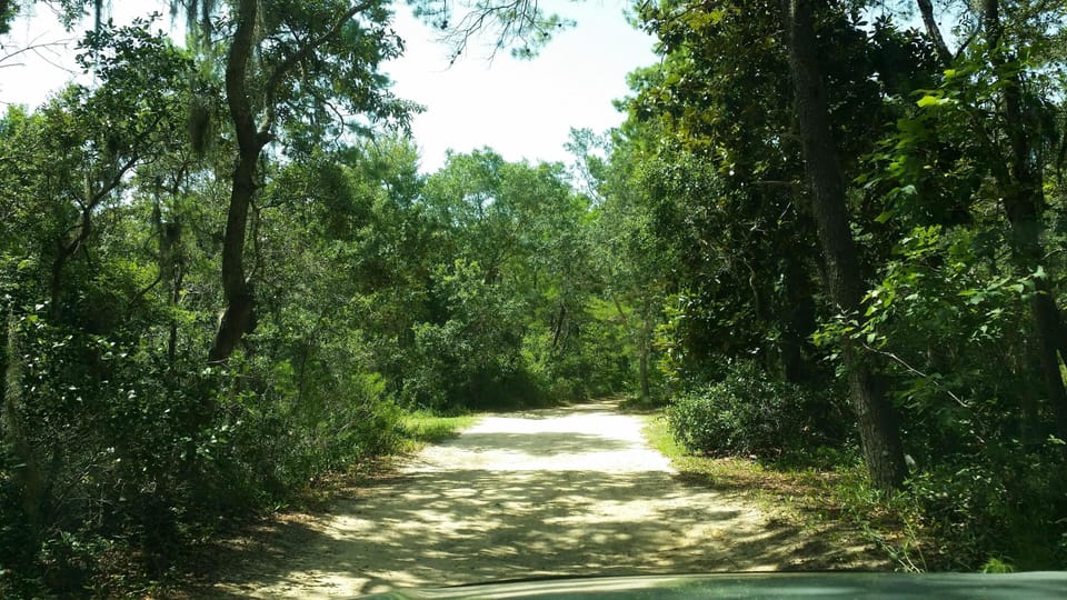 The long secluded, private drive gives way to a small group of family homes.