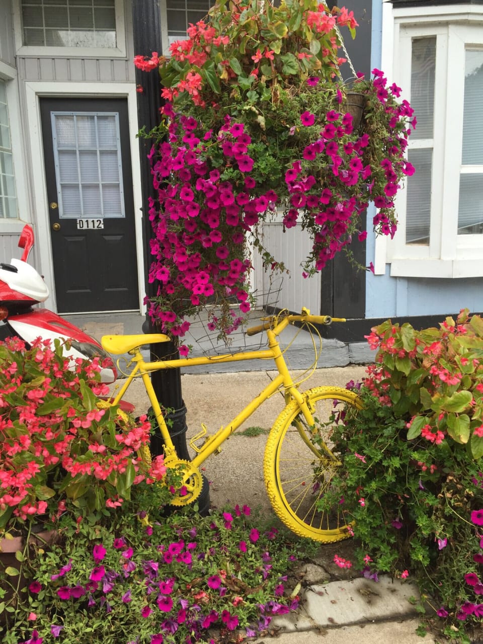 Cozy beach town feel