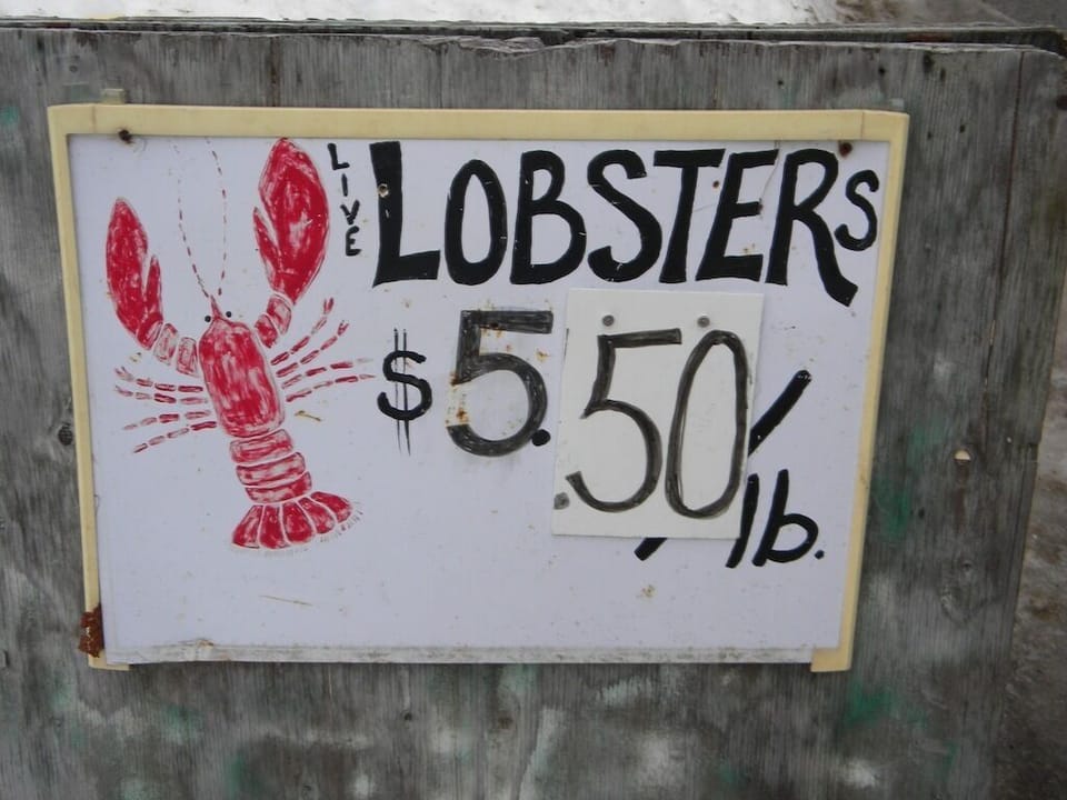Fresh lobsters for sale down the street from Scott the lobsterman 