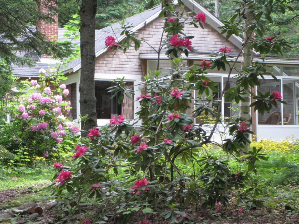 Cabin in June