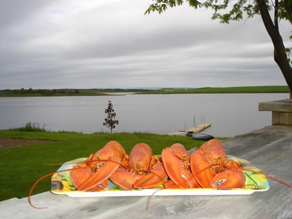Lobster feast