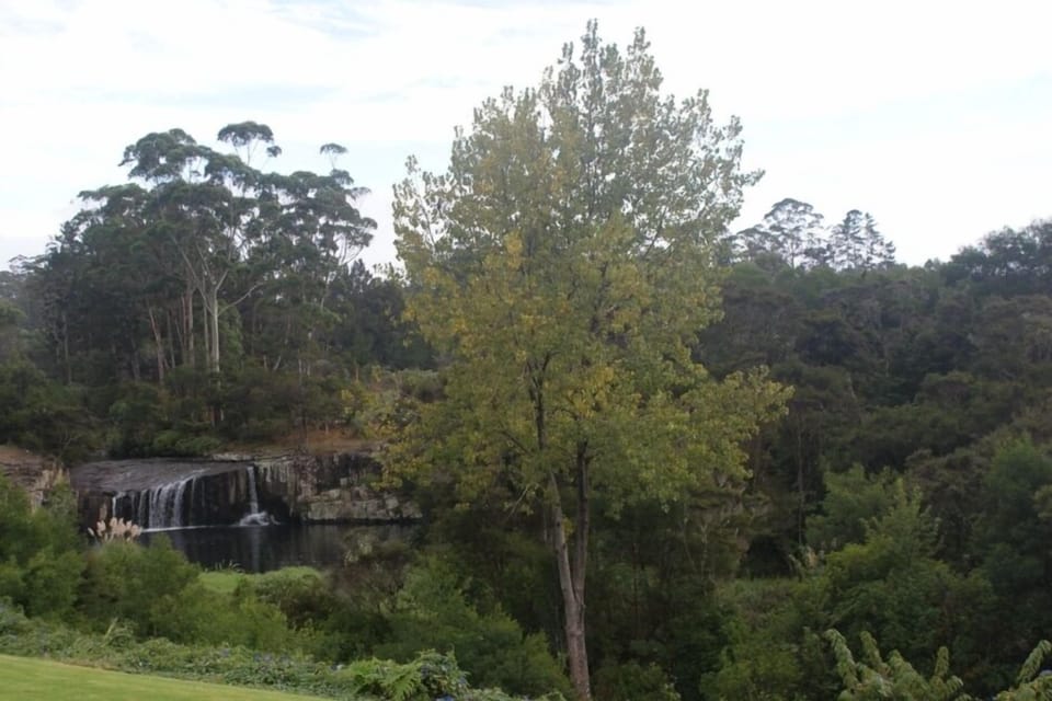 Charlies Rock Waterfall
