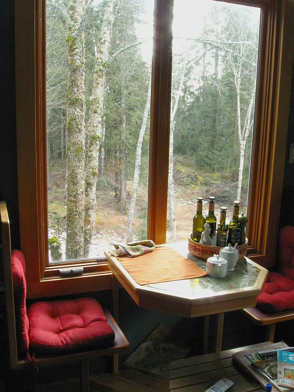 Looking out from the window seat, the woods are beautiful any time of year