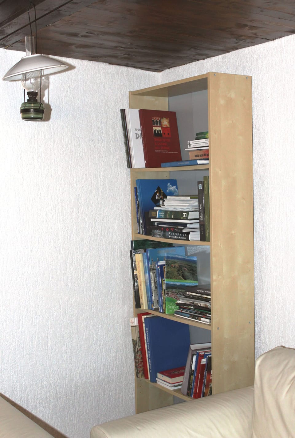 Bookshelf with books if you wish to read