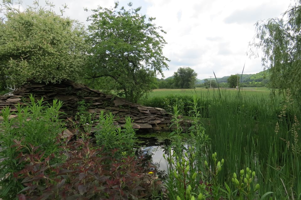 View from the frog pond.