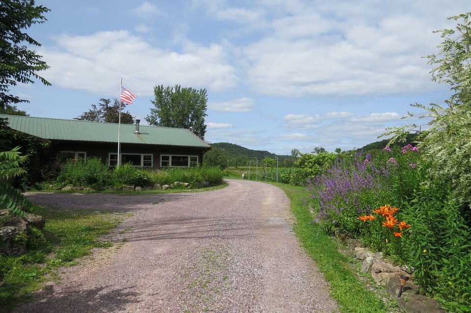 Driveway to Units.