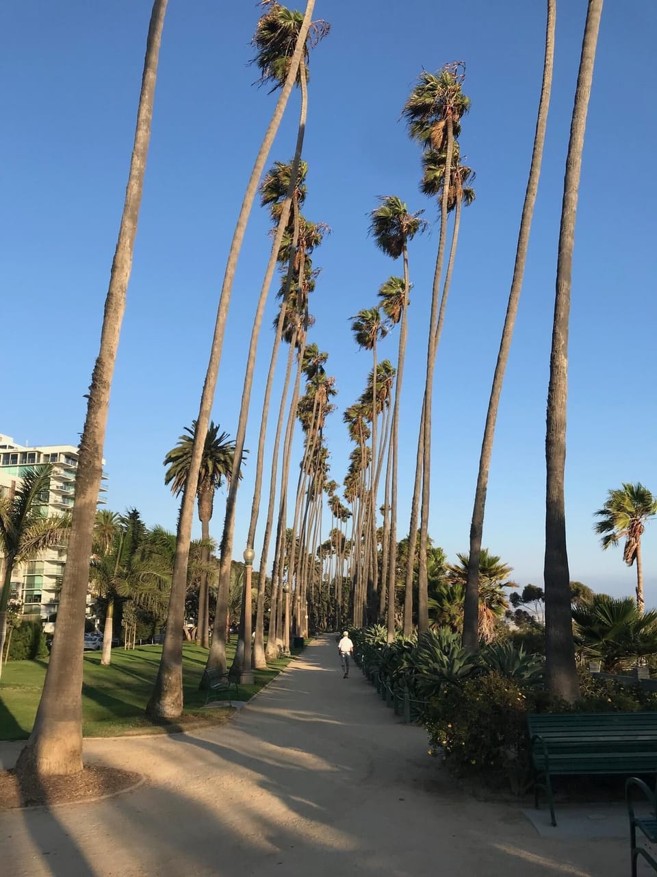 Palisades Park offers you miles of walkways and serene vistas & a strolling fave