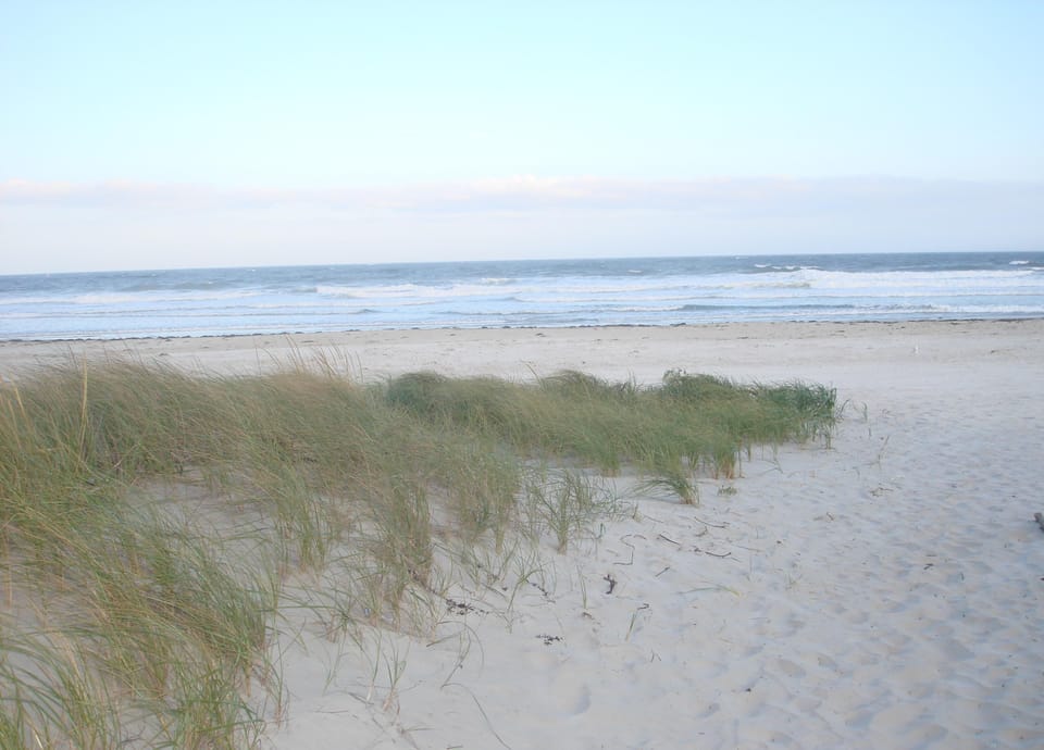 .Beach