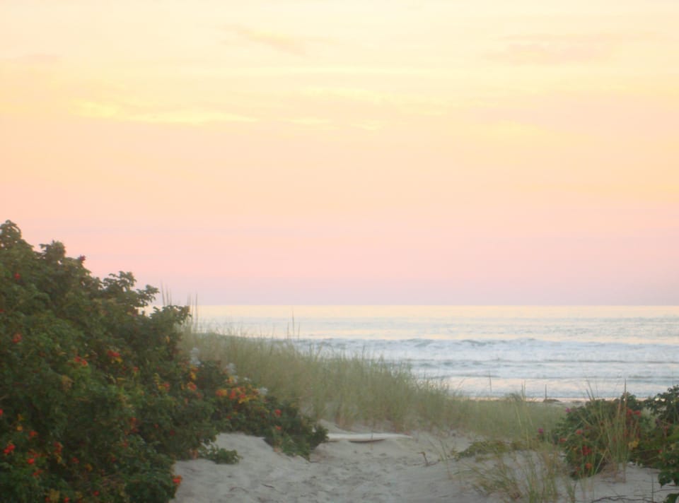.Atlantic Ocean   beach path across street from cottage