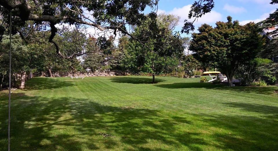 Spacious yard