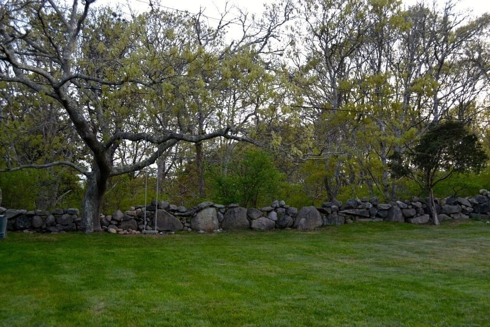 Yard with historic stone wall and swing
