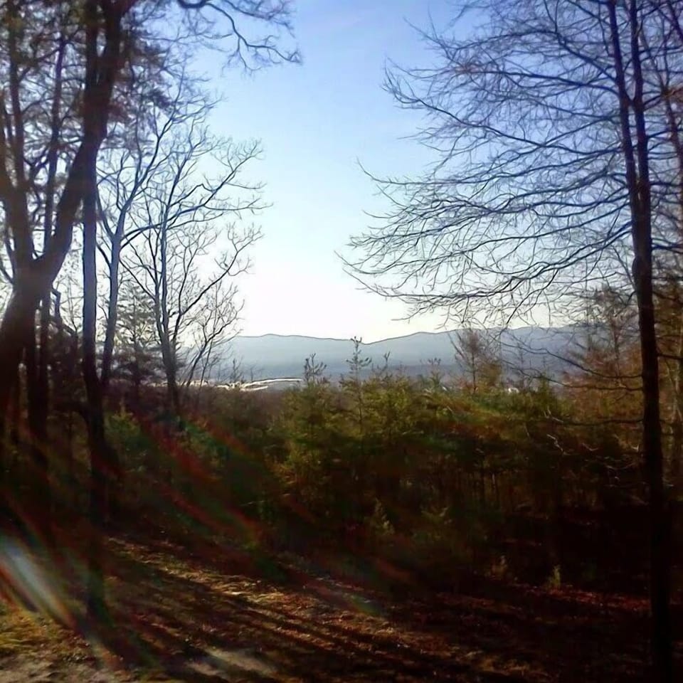 View of the Mountains from the porch.