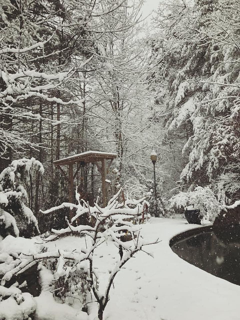Winter scene looking out kitchen window.