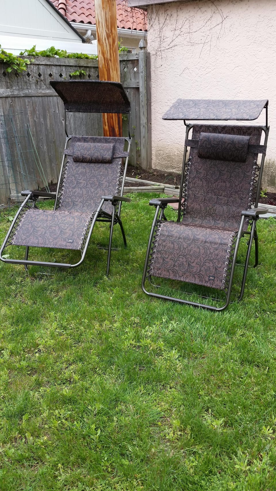 Backyard with lounge chairs