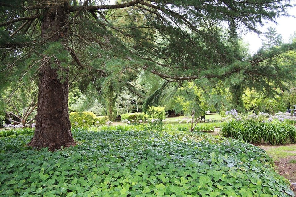 Arafel Park cold climate gardens