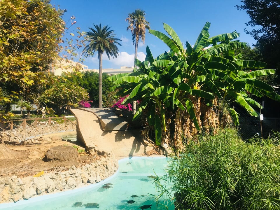 Park across the street perfect for children to watch animals! free entrance