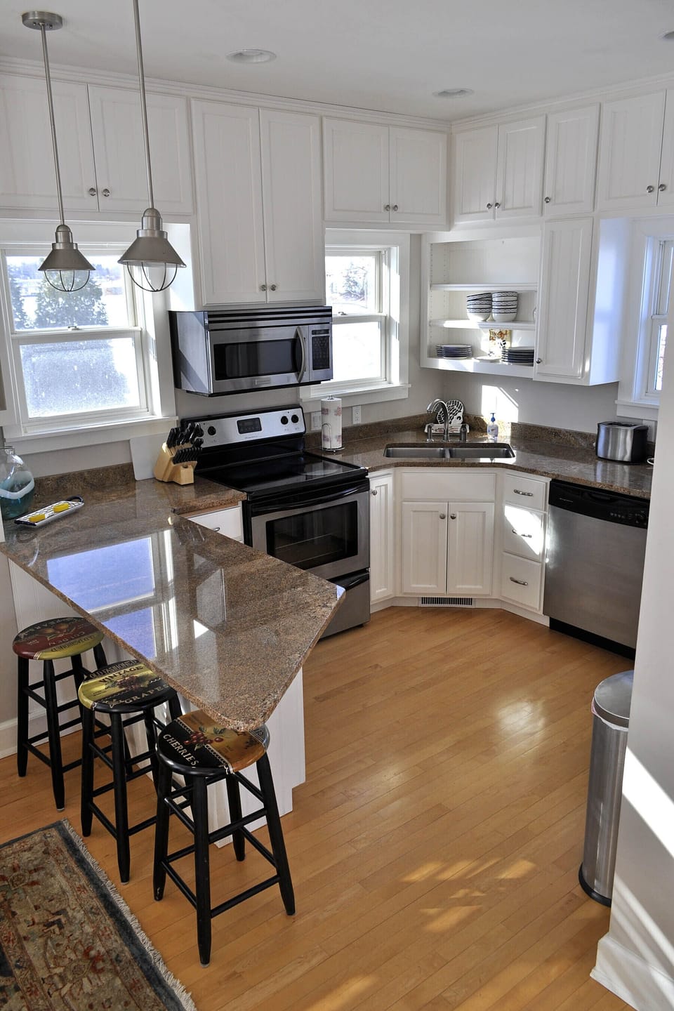 Kitchen with Fridge, Glass-top Stove,  Dishwasher & Microwave