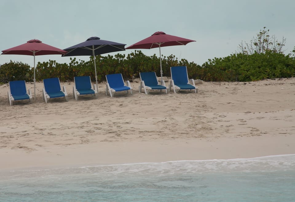 Loungers and umbrellas at the beach daily