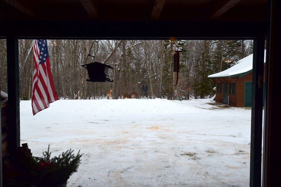 Watch the deer, turkey, birds and other wildlife from your living room window