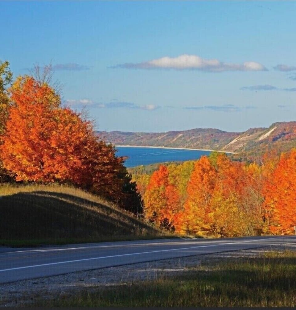 Beautiful fall colors