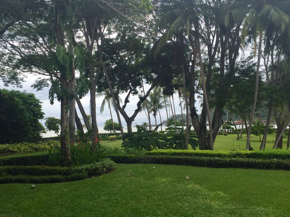 Patio view