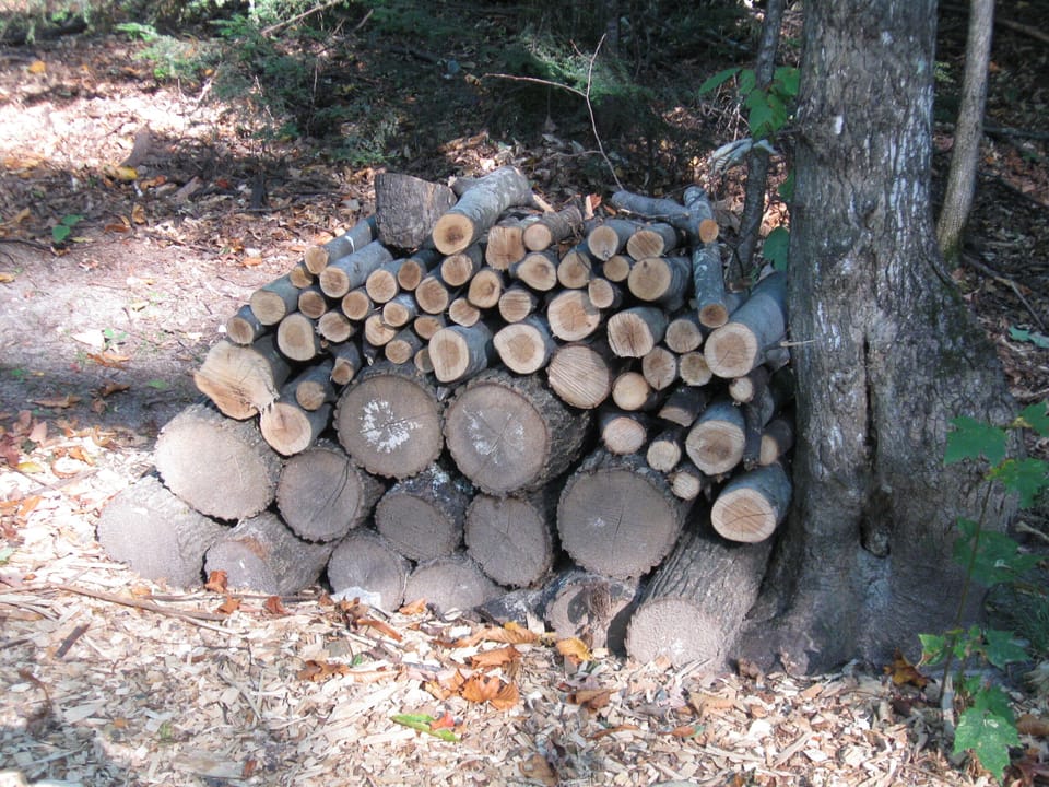 Seasoning Fire Wood