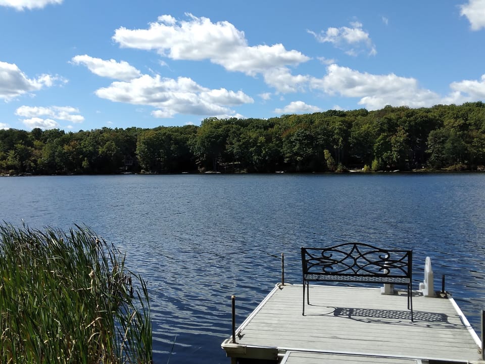 View of the lake from dock.