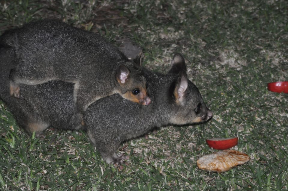 Mother and baby
