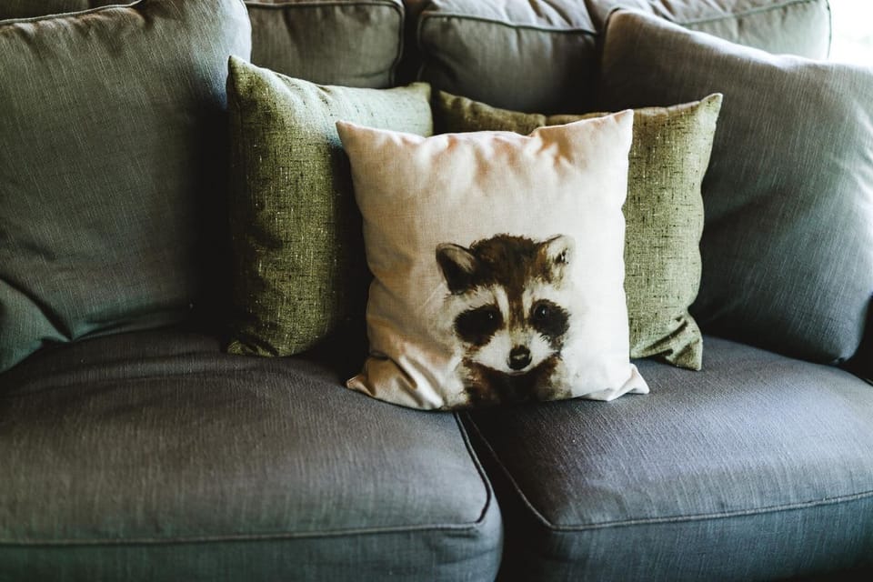 Pet-friendly