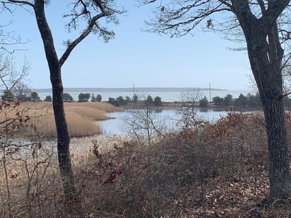 View of Tidal Estuary and Nantucket Sound from Deck