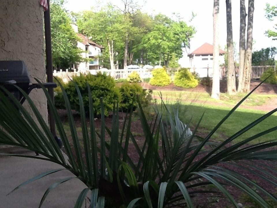 You can see the pool to the left from patio.