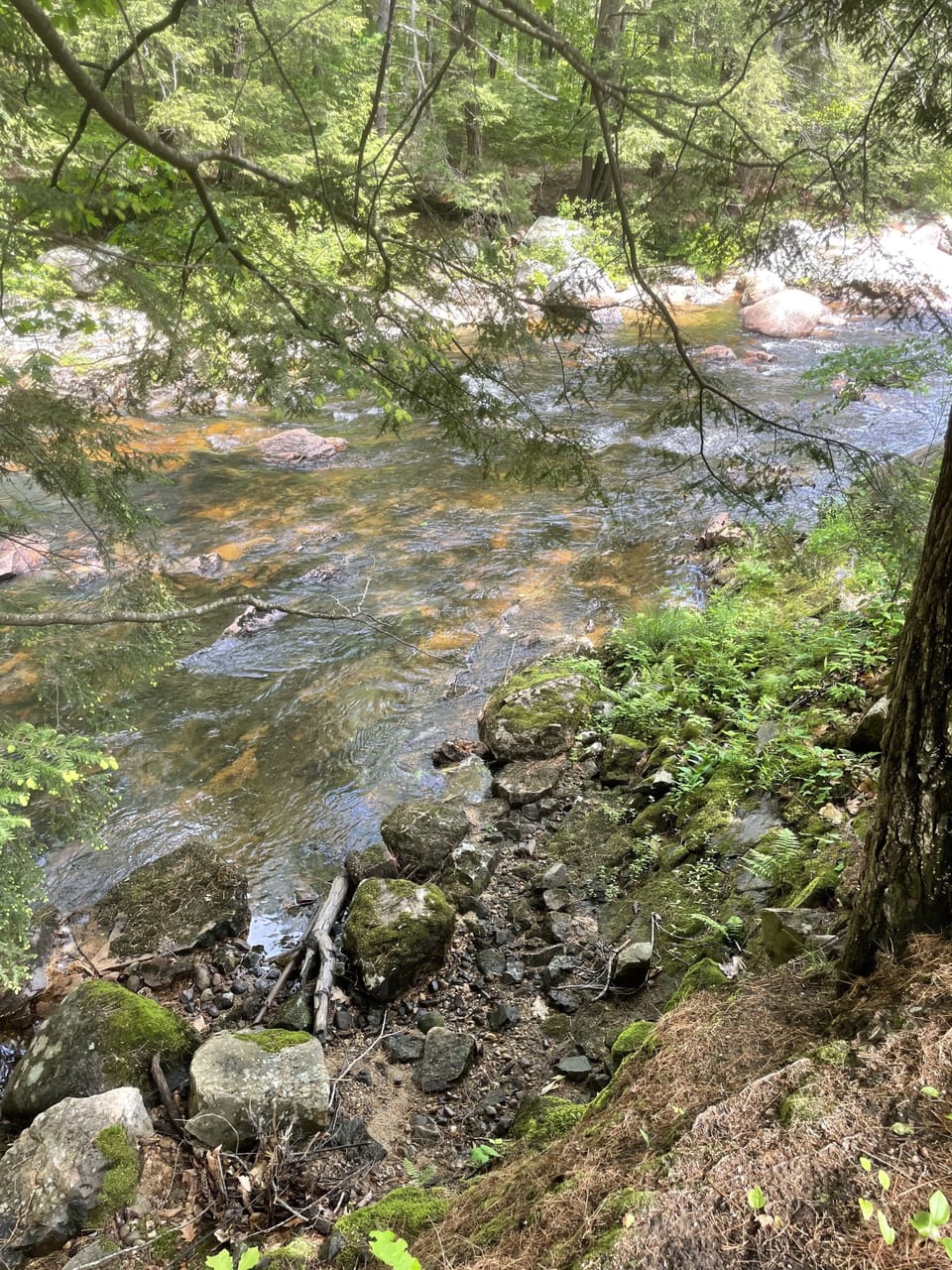 Another beautiful river picture.  Can you hear the river sounds?