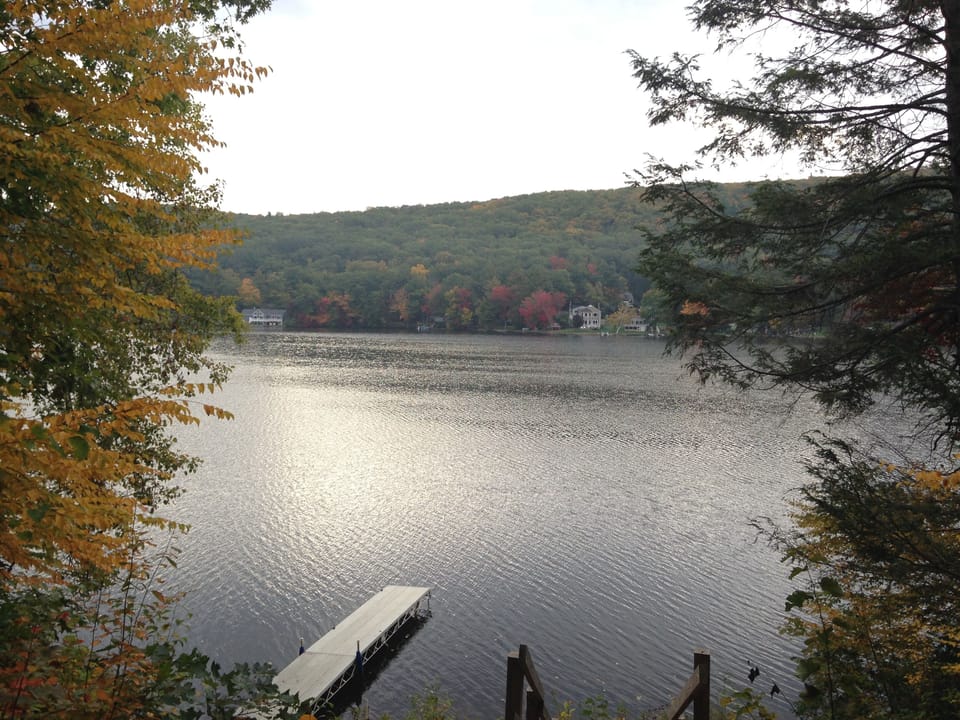 Fall Foliage 