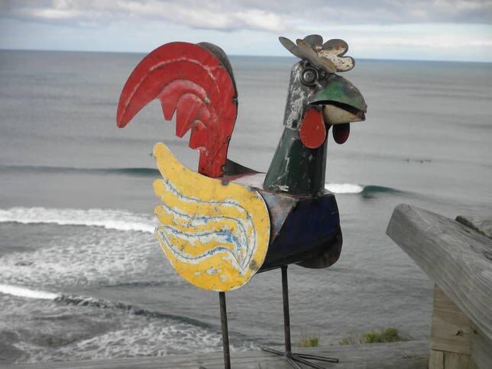 The Sand Chook visiting bird rock.
