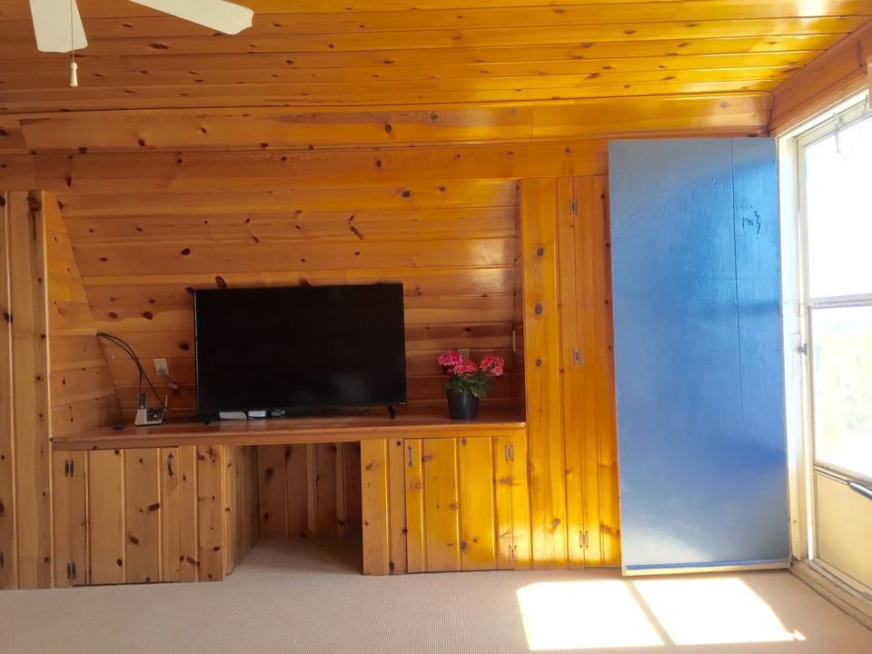 Smart 50" TV, Internet and cable tv. 