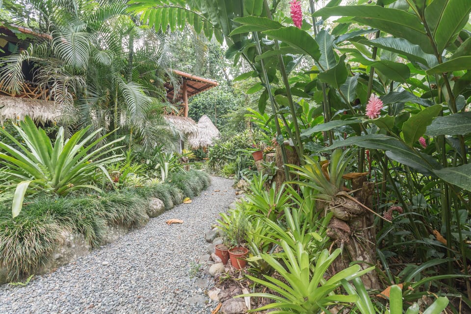 Lush gardens with meandering paths