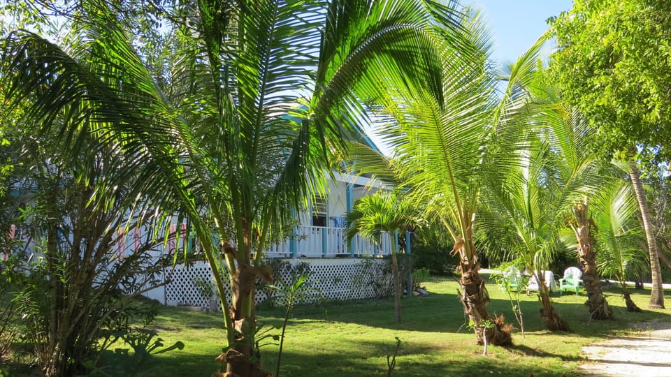 Tropical Setting on Old Banks Road