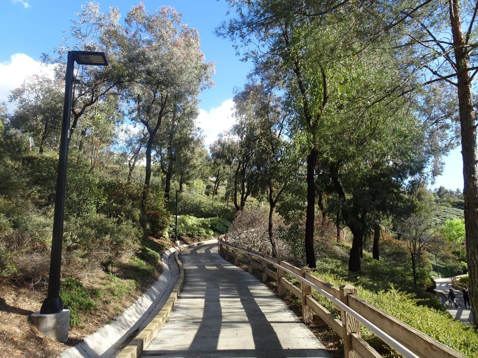 Walking trails 