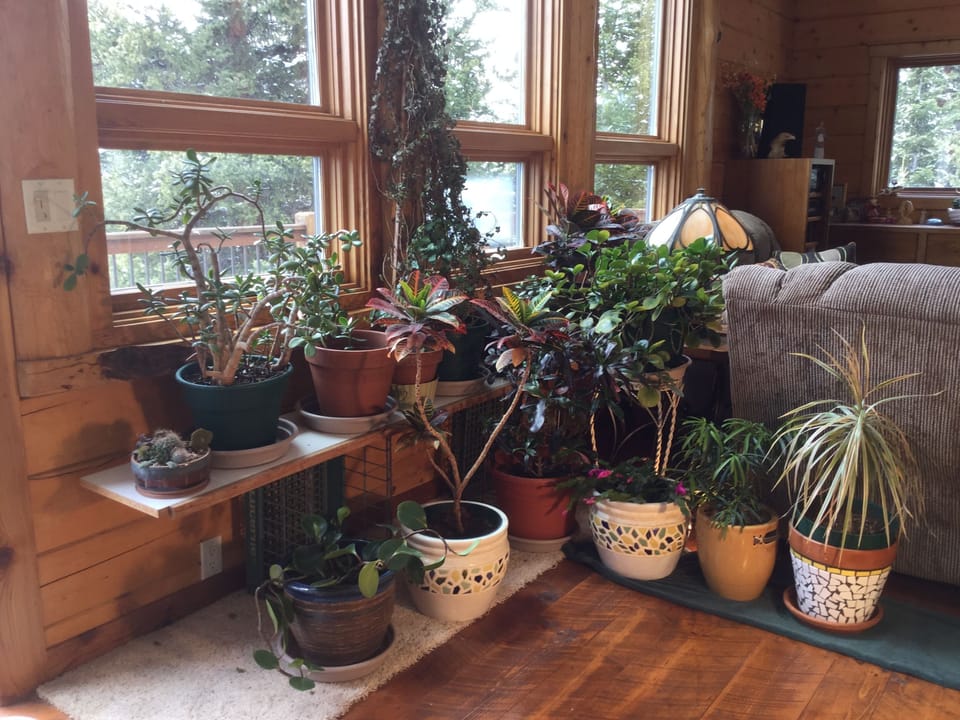 Great room looking out to our deck with many beautiful plants
