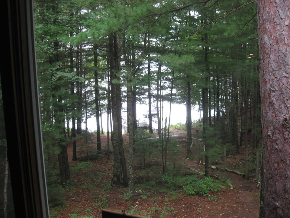 View from property