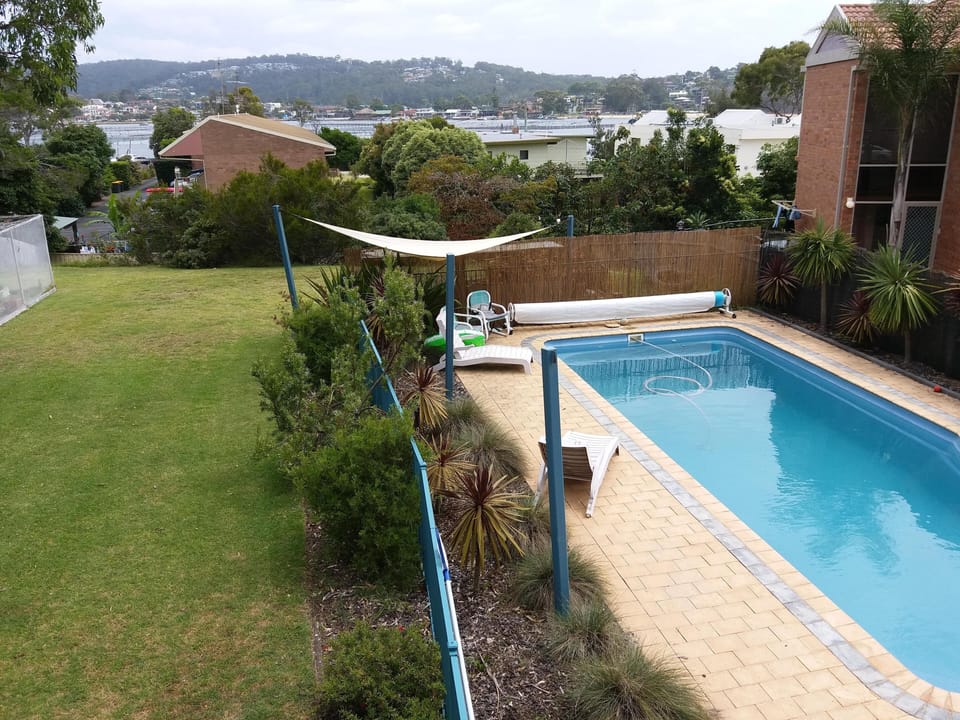 11m pool and enclosed pet area