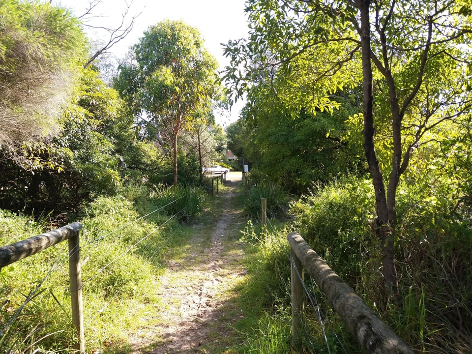Track to surf beach across the road
