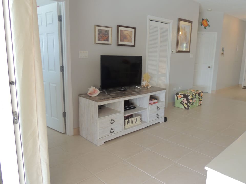Flat screen TV in living room